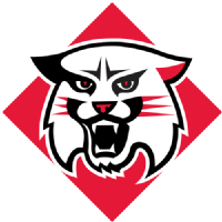 东田纳西州立大学